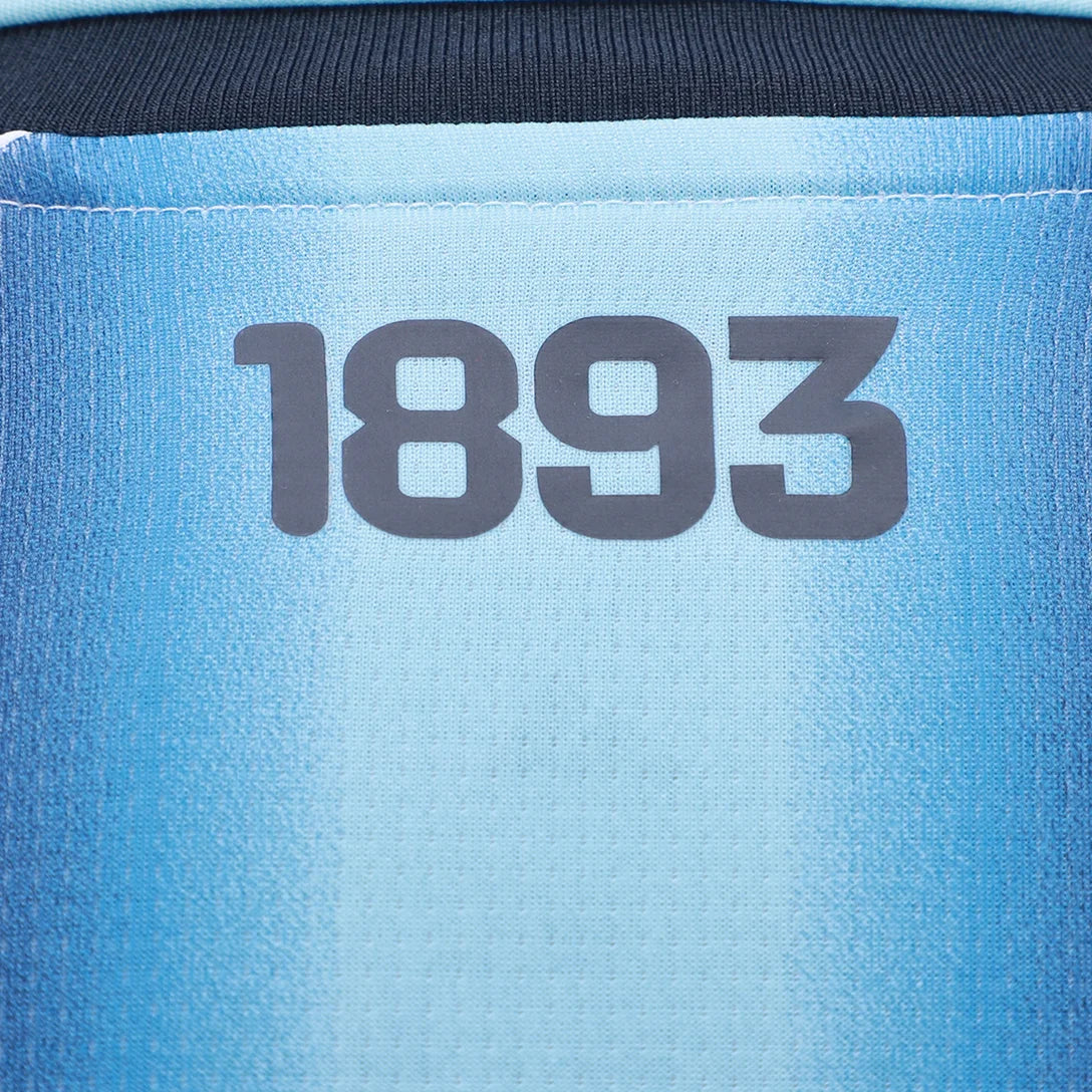 Argentina 25/26 Home Jersey - Fan Version - Image 8